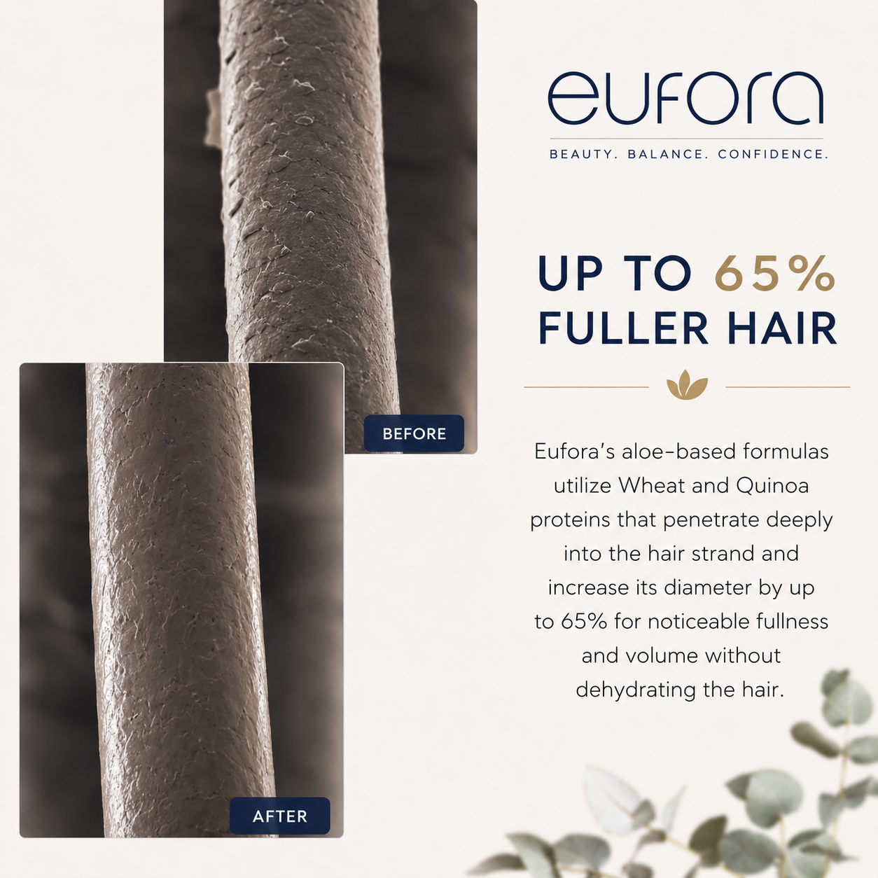 Eufora Daily Balance Volume Conditioner 36 Fl. Oz